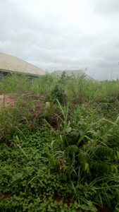 Oluku Uncompleted House 1 The #1 Real Estate Site In Nigeria Woland Housing Solutions