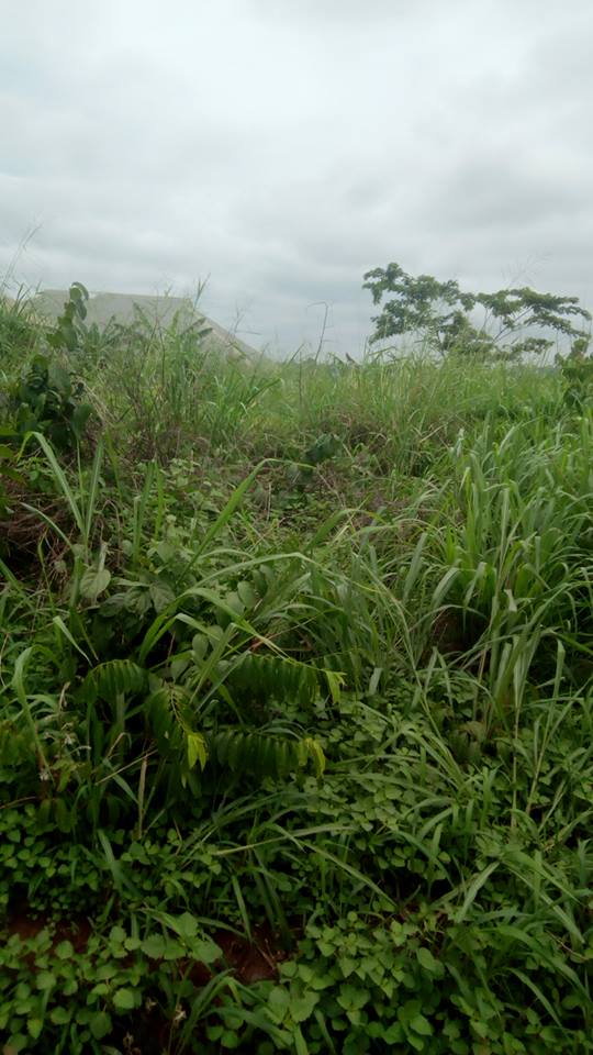 50/100 Land With 2 Units of 2 Bedroom Flat Each At Foundation Level At Oluku, Benin City, Close To The Main Road, For N2.2M, Negotiable
