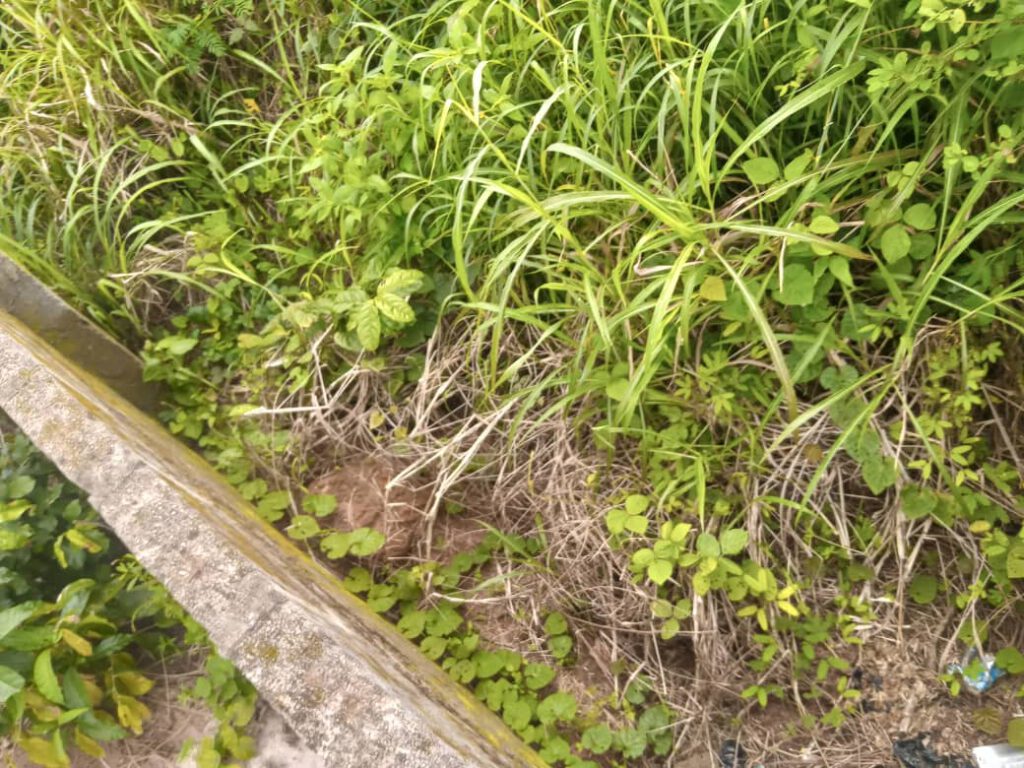 Two Plots of land for sale at Oka 1, Benin City